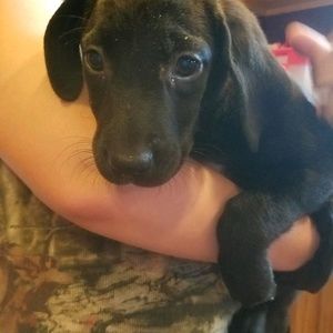 Meet your Posher, Stacy